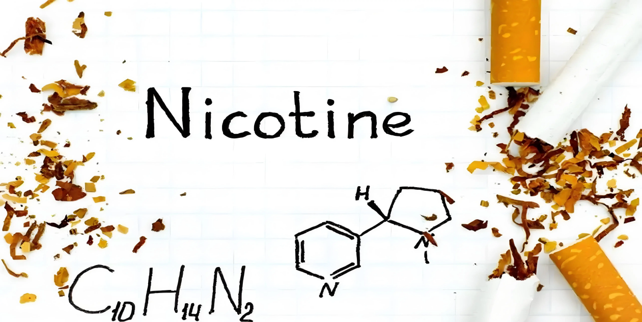 55111136c550a6b4947ad6e81ba63546697542142817.jpg@